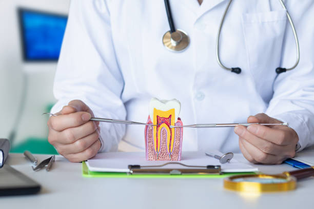 Best Emergency Wisdom Tooth Extraction in Fincastle, TN